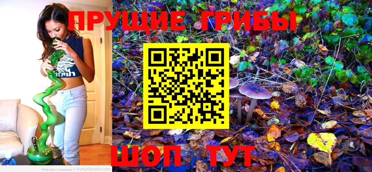 Псилоцибиновые грибы Magic Shrooms Коломна