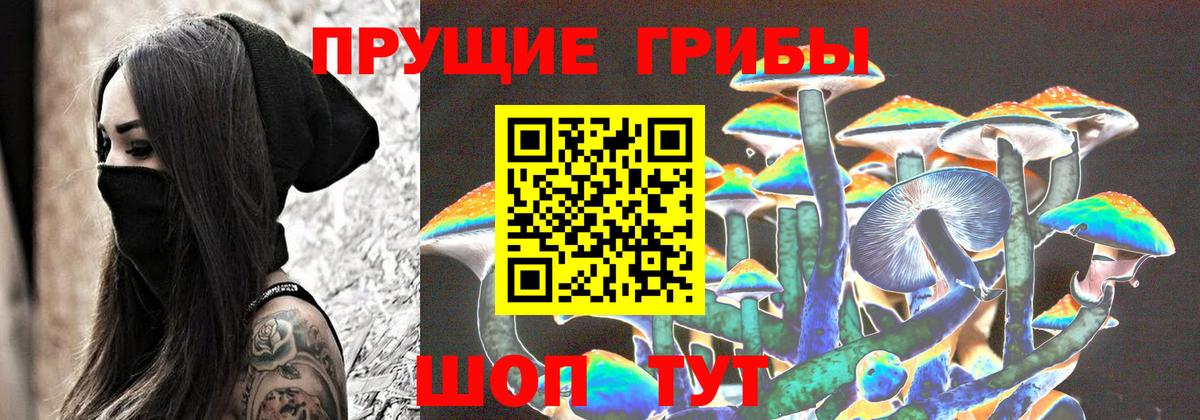 Псилоцибиновые грибы GOLDEN TEACHER  Вход с VPN  Галлюциногенные грибы Cubensis  Коломна 